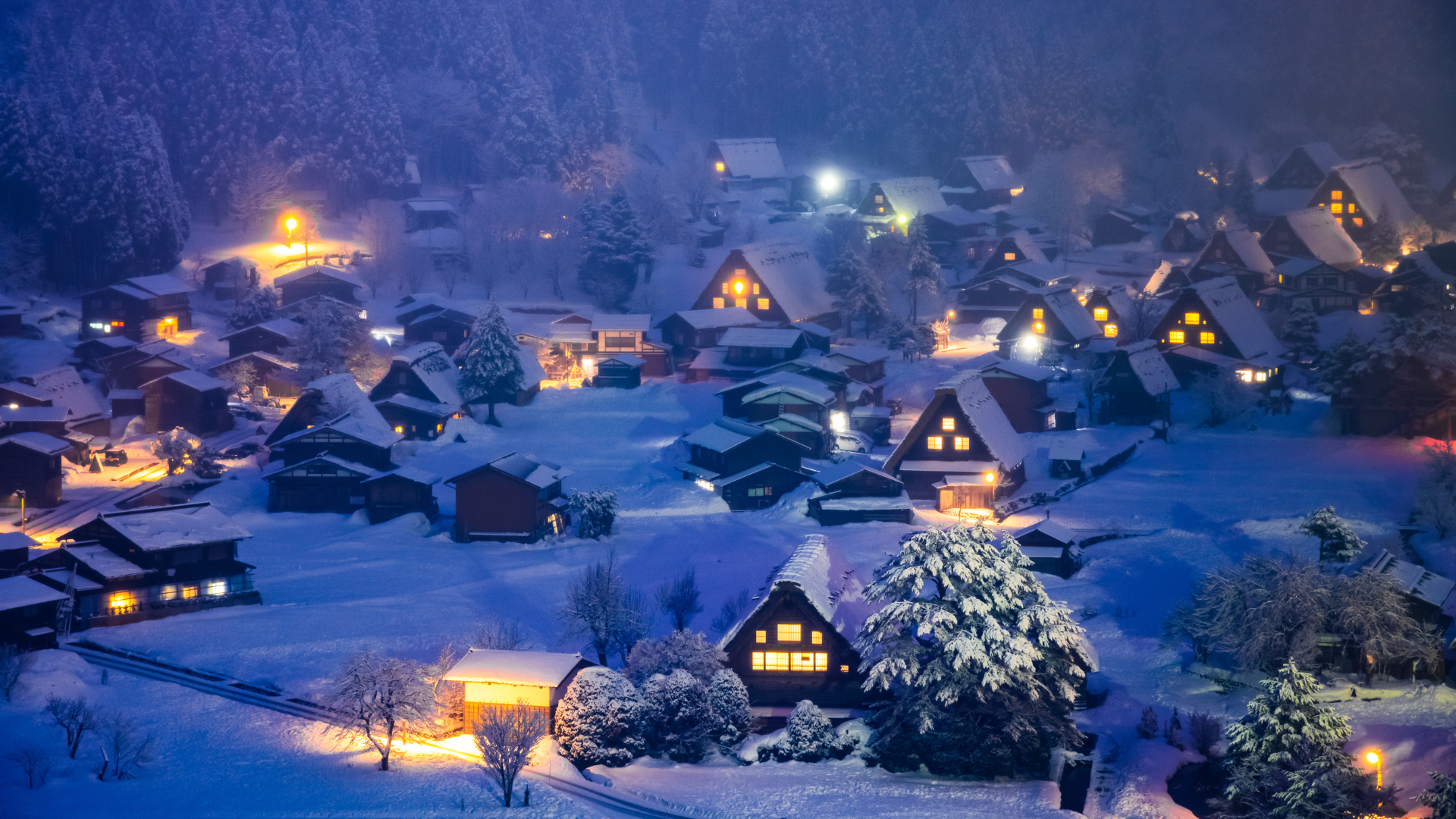 Shirakawa-go Winter Light-up