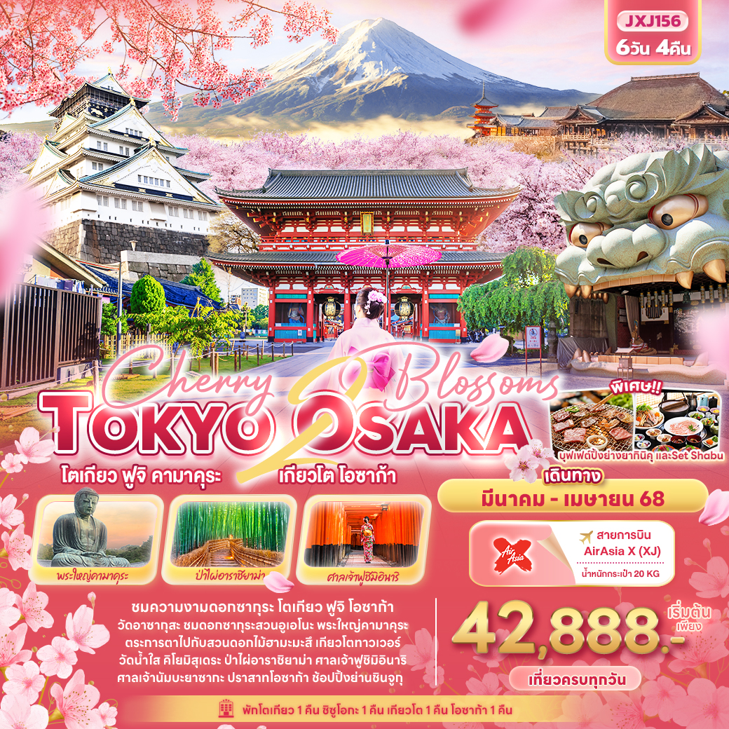 ทัวร์ญี่ปุ่น Cherry 2 blossoms TOKYO OSAKA โตเกียว ฟูจิ คามาคุระ เกียวโต โอซาก้า 6วัน 4คืน (XJ)