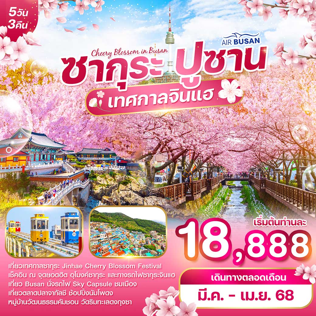 ทัวร์เกาหลี WONDER KOREA ปูซาน 5วัน 3คืน พักปูซาน 3 คืน เทศกาลซากุระ (BX)